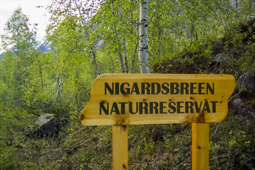 Nigardsbreen