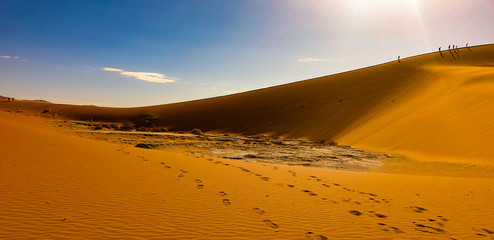 Fototapeta na wymiar desert peace