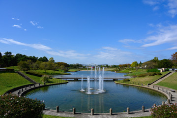 Fototapeta premium 国営ひたち海浜公園の西池
