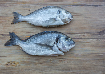 Raw dorado or sea bream fish on wooden table, top view. Space for text
