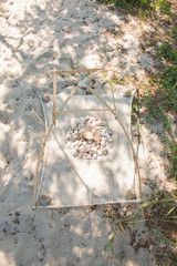 Seashells and dried crab on a hand-made shrimp device on a sandy beach.