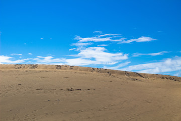 Maspalomas dunes in Gran canaria, Canary islands, spain