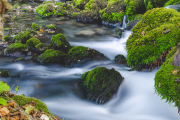 Fototapeta na wymiar Forest brook mountain stream between mossy rocks