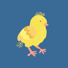 Hand drawn vector illustration of a cute little chicken  isolated on dark blue background.  Great for Easter greeting cards and posters.