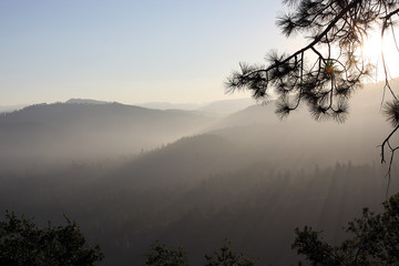 Mountains, Forests, National Park, Stanislaus National Park, Groveland, California, USA