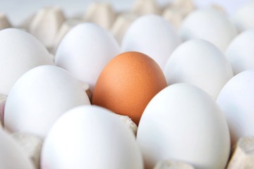 Row of white chicken eggs with one brown egg in cardboard container. healthy protein breakfast. Fresh organic chicken eggs with selective focus. Egg box. Easter preparation. Raw eggs