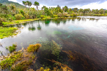 Fototapeta na wymiar Te Waikoropupu Springs, New Zealand