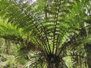Natureza