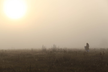 Naklejka na ściany i meble girl in a white dress on a mist field with oaks