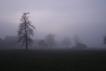 Obraz na płótnie Canvas Nebel am Abend