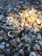  on the beach and colorful.