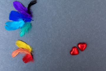 Red hearts shaped chocolates with rainbow-colored bird feathers on a grey background. Greeting card Happy Valentines Day. Copy space. Top view.