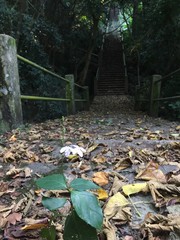  on the beach and colorful.