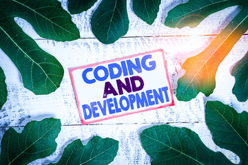 Text sign showing Coding And Development. Business photo text Programming Building simple assembly...