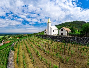 Somlo Hungary vineyard in wine region