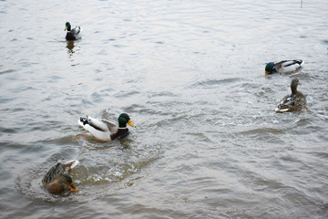 sea embankment in the winter Park