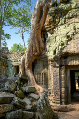 Fototapeta premium Ta Prohm temple at Angkor Wat complex, Siem Reap, Cambodia