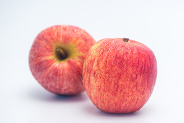 Two GALA APPLE isolated on white background.