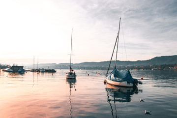 Sailboats At A Calm Beautiful Sunset At Lake Zurich.