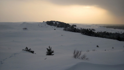 Sand dunes under the snow. Curonian Spit Kaliningrad Region.