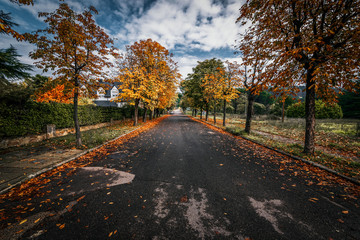 calle otoño