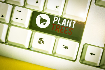 Conceptual hand writing showing Plant Trees. Concept meaning process of planting a tree for land...