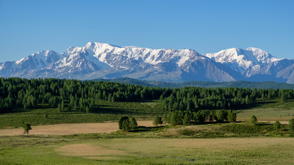View of the snow-capped peaks of the mountain range. Mountain forest, summer Altai.