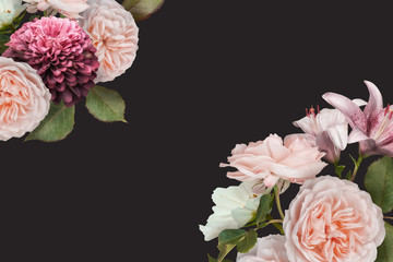 Floral banner, header with copy space. Pastel pink roses, zinnia and lily isolated on dark background. Natural flowers wallpaper or greeting card.