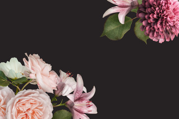 Floral banner, header with copy space. Pastel pink roses, zinnia and lily isolated on dark background. Natural flowers wallpaper or greeting card.