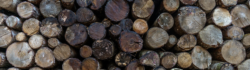 pile stacked natural old sawn wooden logs background