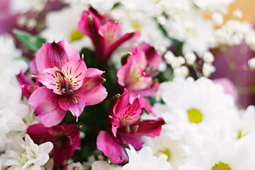 Fototapeta premium Floral composition of white chrysanthemum and rose Alstroemeria flowers.