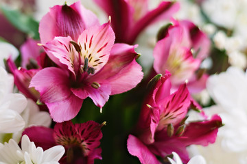 Floral composition of  rose Alstroemeria flowers