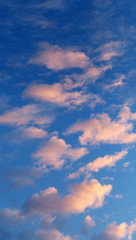 Fototapeta na wymiar Orange clouds on the blue sky. Nature vertical background for design.