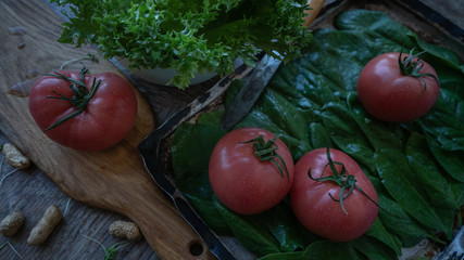 Tomato, green salad and spinach leaves on the table. Still life