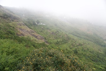 Green Mountain 