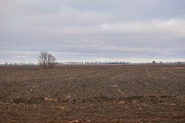 Fototapeta na wymiar Plowed field of land. Farming concept.