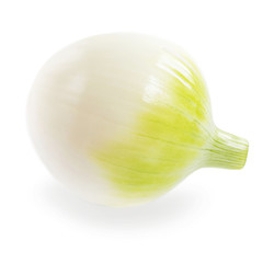Obraz na płótnie Canvas Fresh white onion isolated on white background. Ripe onion. Food concept. Macro