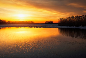 Fototapeta na wymiar Beautiful Winter landscape with river, reeds and sunset sky. Composition of nature.