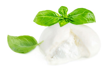 Mozzarella cheese Isolated. Traditional Italian Mozzarella ball and basil leaf on white background.  Italian food concept.