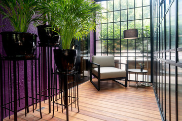 Modern sunroom with chic furnitures and some plants