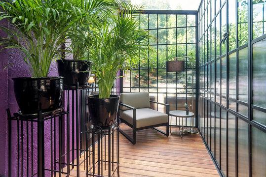 Modern sunroom with chic furnitures and some plants