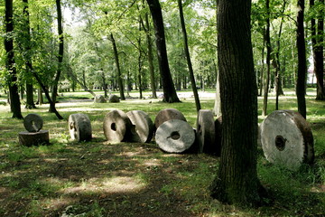 Old Millstones on forest landscapes