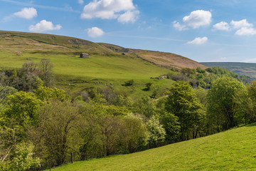 Fototapeta na wymiar Landscape in the Swaledale between Keld and the Kisdon Force, North Yorkshire, England, UK
