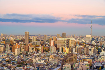 Fototapeta premium Top view of Tokyo city skyline (Shinjuku and Shibuya) area with beautiful sunset