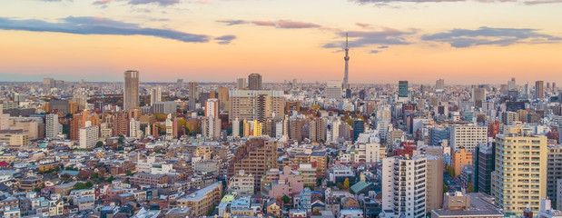 Fototapeta na wymiar Top view of Tokyo city skyline (Shinjuku and Shibuya) area with beautiful sunset