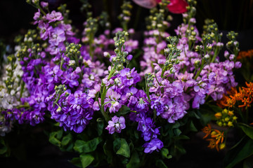 mix summer flowers close up view