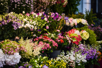 mix summer flowers close up view