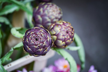fresh natural artichoke flower close up