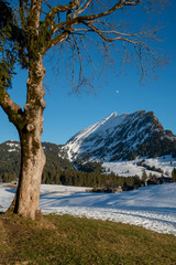 Wintersport, Amden-Arvenb&uuml;hl mit Leistchamm