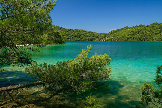 turquoise blue water lake with wooded hills, Malo Jezero, Mljet National Park, Croatia